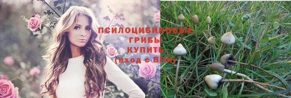 прущие крисы Новокубанск