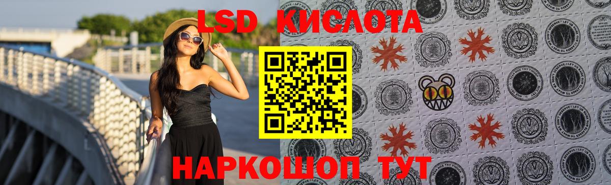 НБОМе Чусовой