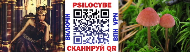 Псилоцибиновые грибы мицелий mega сайт Чусовой
