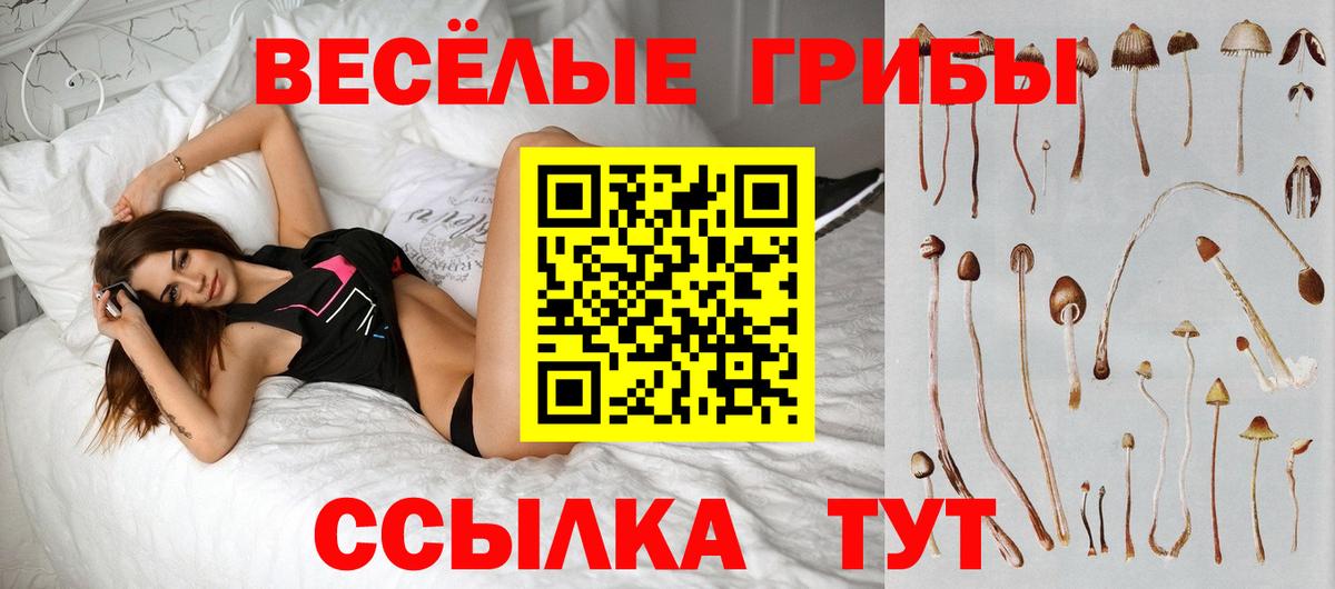 купить наркотик  Чусовой  Галлюциногенные грибы Psilocybe  Галлюциногенные грибы прущие грибы 